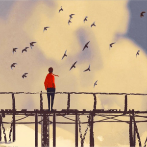 h视频在线网站hhh
